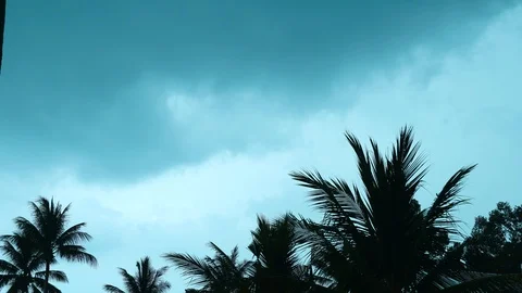 Time lapse of thunderstorm rain over coconut trees by the tropical beach. Vidéo 108287315