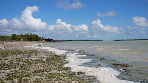 Time Lapse of Tide Coming In - Everglades National Park Stock Footage 106425993