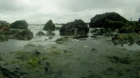 Time lapse tide coming in rather dull day 03 Stock Footage 33898962