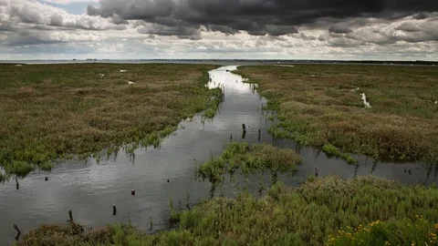 Time lapse of tide falling over wetland estuary Stock Footage 114291460
