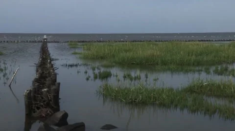 Time lapse of tide Stock-Footage 42158904