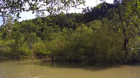 Time lapse of the tide going out at Bako National Park in Malaysian Borneo. Stock Footage 32548606