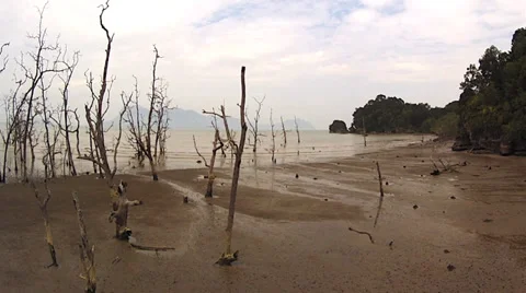 Time lapse of the tide going out at Bako National Park in Malaysian Borneo. Stock Footage 32550927