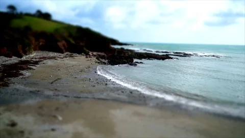 Time Lapse Tilt Shift Beech 動画素材 73000597