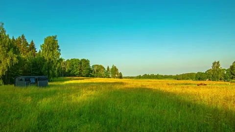 Time lapse of tiny cabin in open empty grassland near a forest 스톡 동영상 229706217
