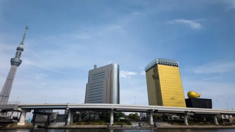 Time-lapse of Tokyo Skytree and the Tokyo cityscape Stock Footage 292464008