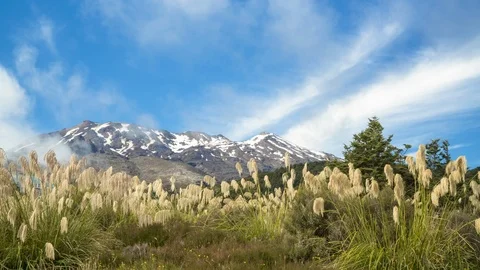 Time lapse: Tongariro volcanic complex in summer time. Alpine region of New Zeal 스톡 동영상 115422786
