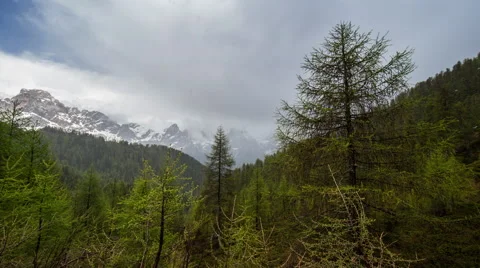 Time-lapse from top of a pine tree, out to a foggy valley and snowy mountains. Stock Footage 68319578