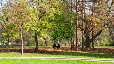 Time lapse of topcider park in sunny autumn afternoon Stock Footage 55245955