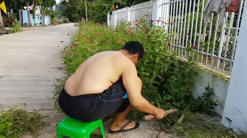 time lapse topless gardener cutting gras... | Stock Video | Pond5