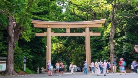 Time lapse at Torii Gate Leading to Meiji Shrine Meiji Jingu 스톡 동영상 277529477