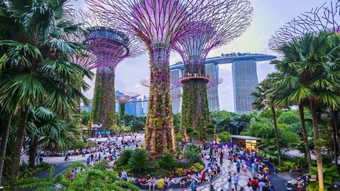 Time lapse Tourists visiting Supertrees at Gardens by the Bay in Singapore. Stock Footage 124897511