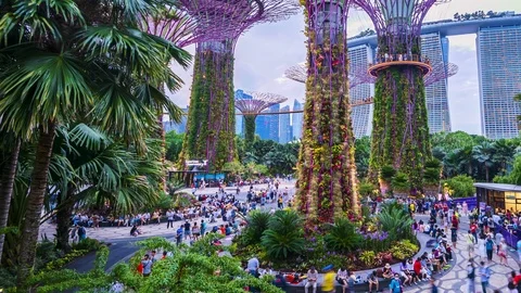 Time lapse Tourists visiting Supertrees at Gardens by the Bay in Singapore. Stock Footage 124898182