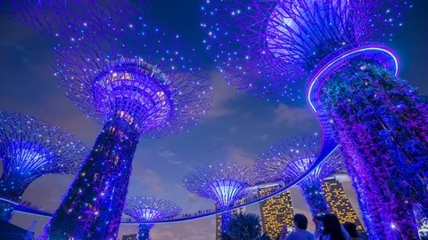 Time lapse Tourists visiting Supertrees at Gardens by the Bay in Singapore. Stock Footage 124898817