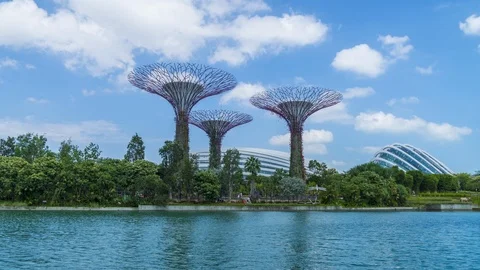 Time lapse Tourists visiting Supertrees at Gardens by the Bay in Singapore. Stock Footage 125511984