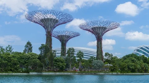 Time lapse Tourists visiting Supertrees at Gardens by the Bay in Singapore. Stock Footage 125511985