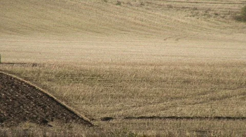 Time-lapse of tractor preparing field Stock-Footage 87955
