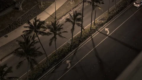 Time Lapse of Traffic Blurring on Busy Road with Palm Trees in Hawaii 4K Vidéo 71959257