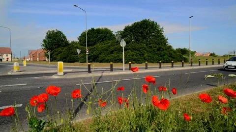 Time-lapse traffic passing roadside poppies in field selby united kingdom Stock Footage 91526301