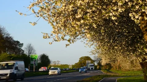 Time lapse traffic at springtime york united kingdom Stock Footage 74652534