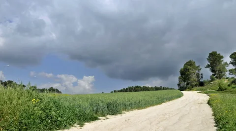 Time lapse of trail in field wheat Stock Footage 48873879
