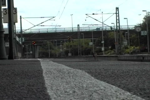 Time lapse train Germany Video stock 480438