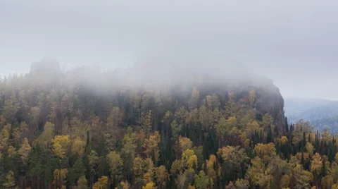 Time lapse transition from autumn to winter Stock Footage 58927449