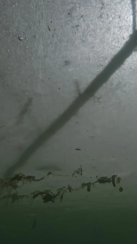 Time lapse, translucent ice floes glide over freshwater algae floats in water Vídeos de archivo 330972923