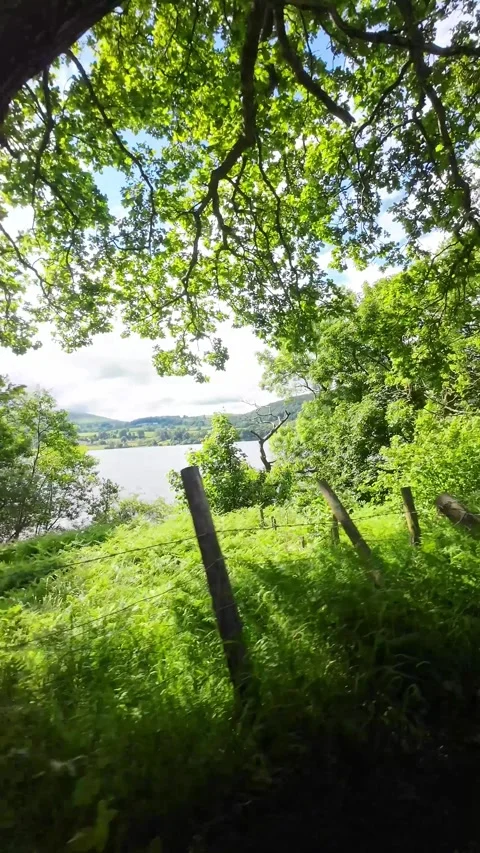 Time Lapse Travel Between London to Lake Districts England Stock Footage 340827445