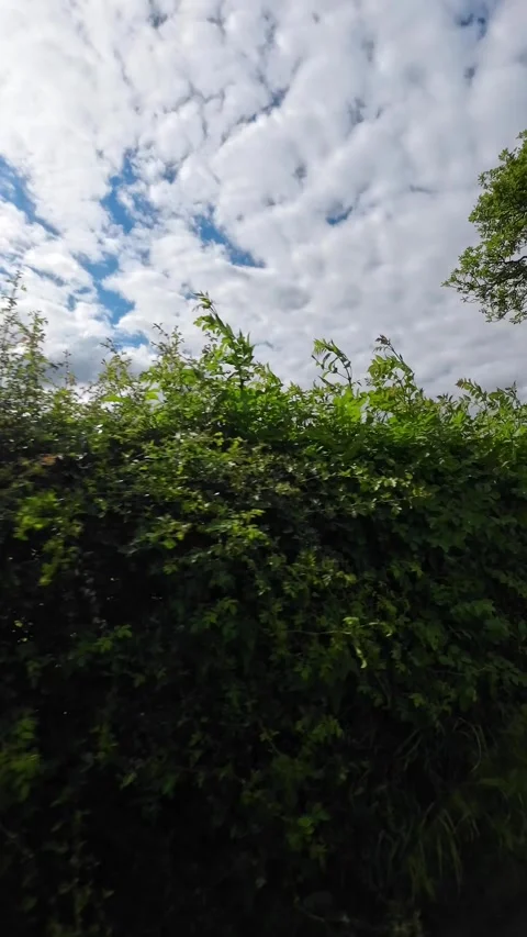 Time Lapse Travel Between London to Lake Districts England Stock Footage 340839780