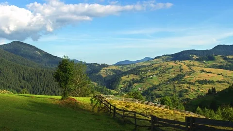 Time lapse of Tree and fence in the mountain slope Stock Footage 72652792