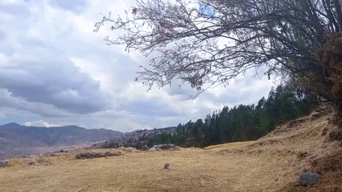 Time lapse of tree, mountains and forest Stock Footage 293094793