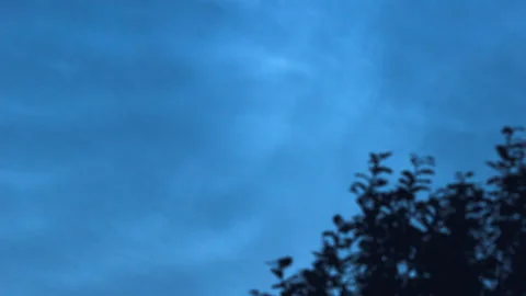 Time lapse tree silhouette and noctilucent clouds. Noctilucent clouds timelapse. Stock Footage 158842278