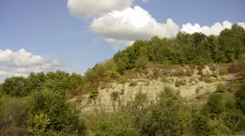 Time lapse of trees and bushes on the rock hill Stock Footage 46082582