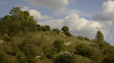 Time lapse of trees and bushes on the rock hill Stock Footage 46083244