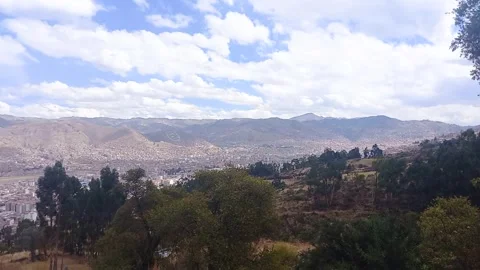 Time lapse of trees and forest with city in the background Stock Footage 293094802