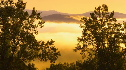 Time-lapse of trees and white clouds floating in the sky at sunset Stock Footage 103824777