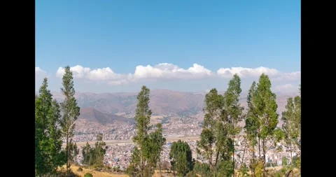 Time lapse of trees with city in the background Stock Footage 293093611