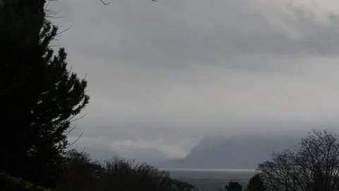 Time lapse of trees, clouds and lake. Lausanne, Switzerland. Stock Footage 145747546