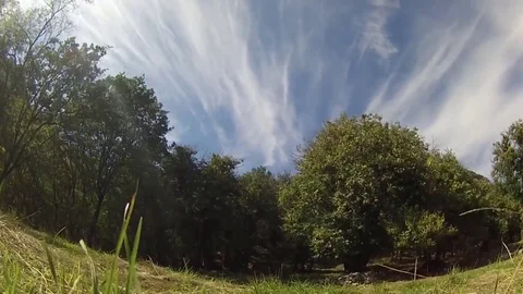 Time lapse:  trees in the mountains and cirrus. Video stock 69144012