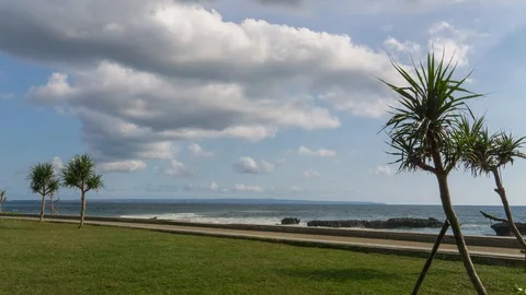 Time-lapse of tropical coast line with palm trees Stock Footage 97701901