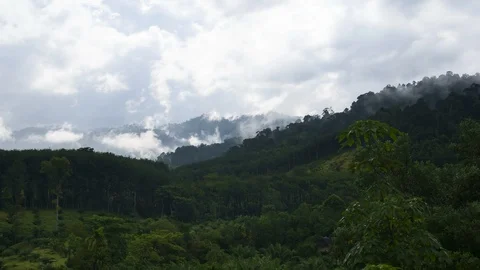 Time lapse in tropical rainforest with mist, fog and clouds Stock Footage 92928078