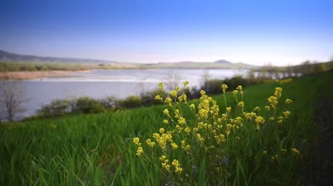 Time-lapse of Tuscany. Stock Footage 54149906