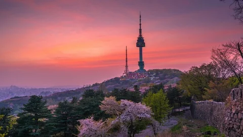 Time Lapse Twilight sunset in spring, cherry blossom at Seoul,South Korea. Stock Footage 106935514
