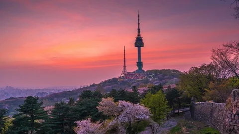 Time Lapse Twilight sunset in spring, cherry blossom at Seoul,South Korea. Video stock 106936566