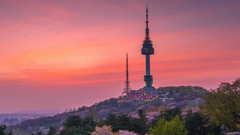 Time Lapse Twilight sunset in spring, cherry blossom at Seoul,South Korea. Stock Footage 106937391