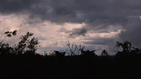 Time-lapse of a two great concentration of dense clouds moving in opposite di Stock Footage 277367314