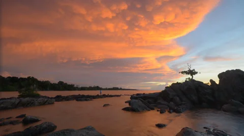 Time lapse Unique bonsai tree on the rock a beautiful sunset moment Stock Footage 39933083