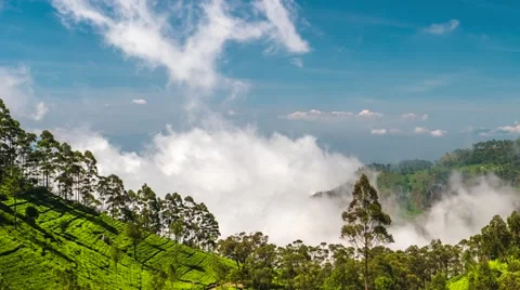 Time lapse of valley from Lipton's Seat with fast moving clouds. Sri Lanka. 4K Video stock 63113643