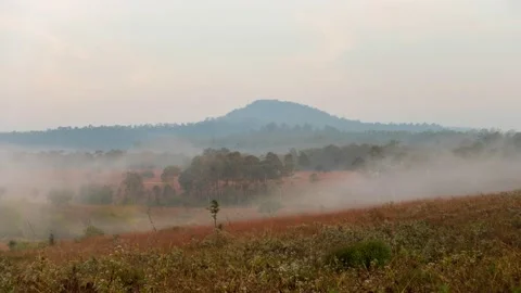 Time-lapse of a valley surrounded by mountains and covered with dense ground fog Stock Footage 168361832